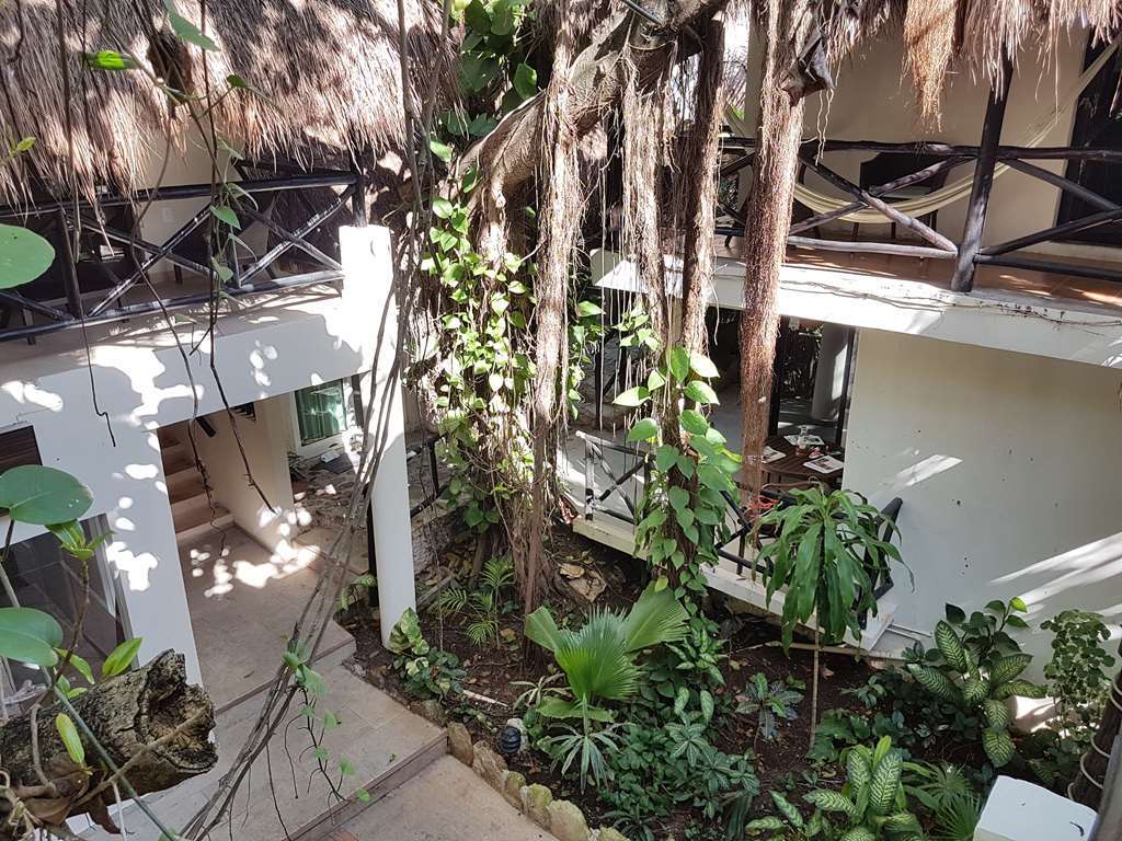 Hotel Club Yebo ปลายาเดลการ์เมน สิ่งอำนวยความสะดวก รูปภาพ