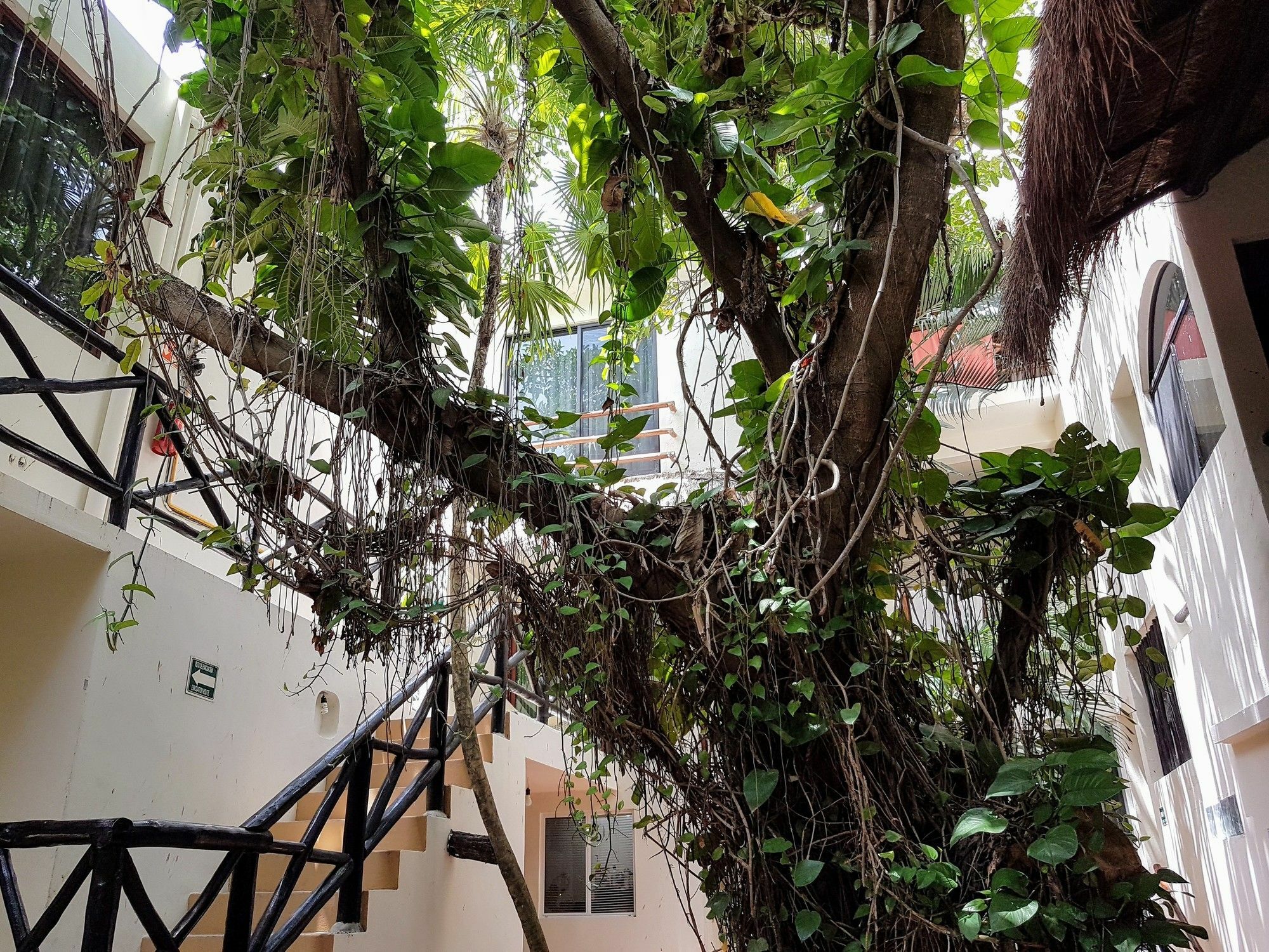 Hotel Club Yebo ปลายาเดลการ์เมน ภายนอก รูปภาพ